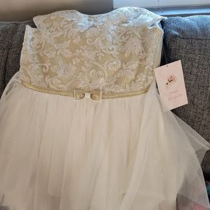 Beautiful girls dress, size 10, brand Jona Michelle